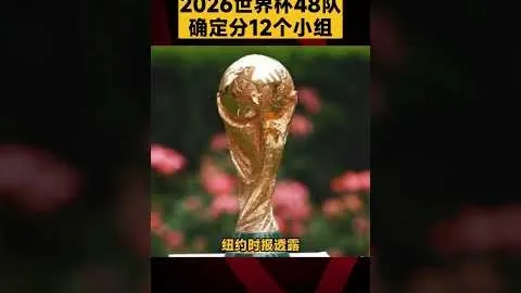 尤文新帅图多尔掌舵后阵容解析：352阵型布局，DV9携手穆阿尼共筑锋线