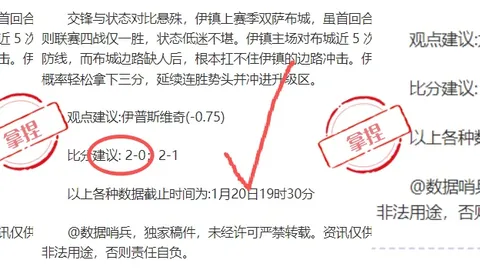 劳拉·伍兹粉装亮相冠军联赛决赛圈引关注